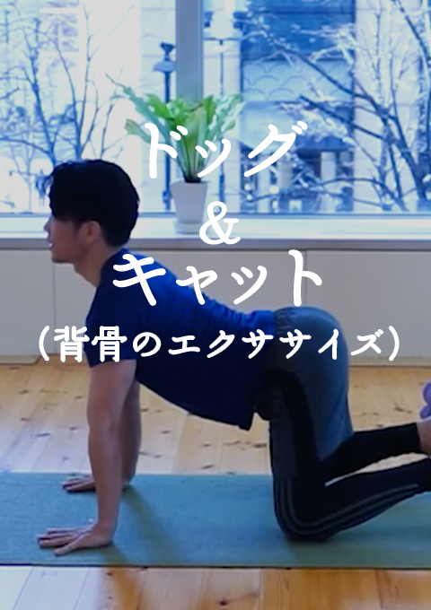 ドッグ&キャット(背骨のエクササイズ)