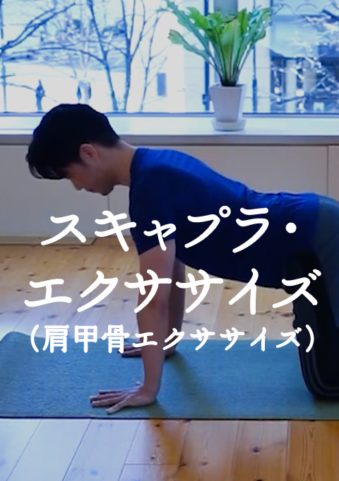 スキャプラ・エクササイズ(肩甲骨エクササイズ)