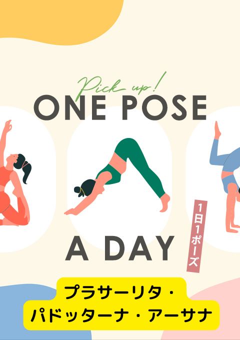 <25/02/08開催クラス>One pose a day~1日1ポーズ~「プラサーリタ・パドッターナ・アーサナ」