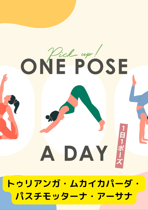 ＜26/02/21開催クラス＞One pose a day～1日1ポーズ～  #トゥリアンガ・ムカイカパーダ・パスチモッターナ・アーサナ
