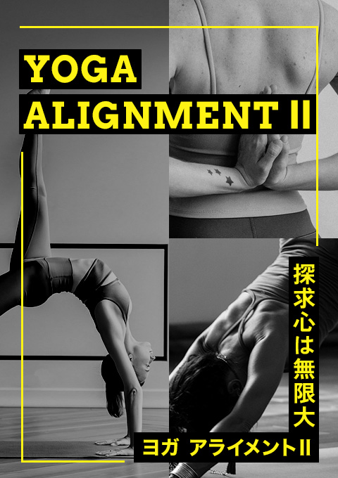 ヨガアライメントII ～探求心は無限大～