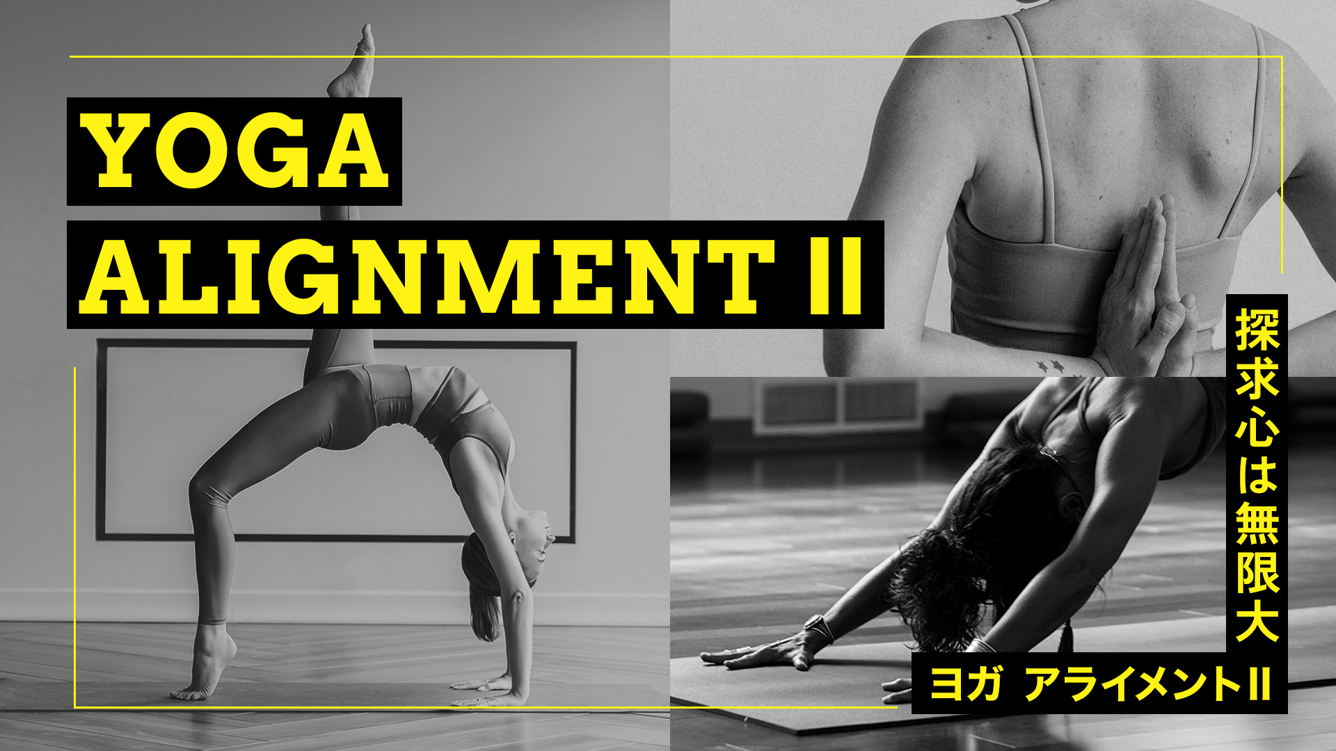 ヨガアライメントII ～探求心は無限大～