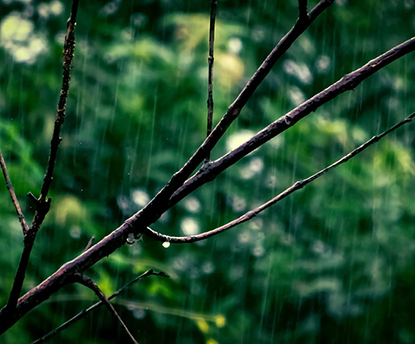 季節のおすすめアーユルヴェーダレシピ～梅雨を快適に過ごすヒント～