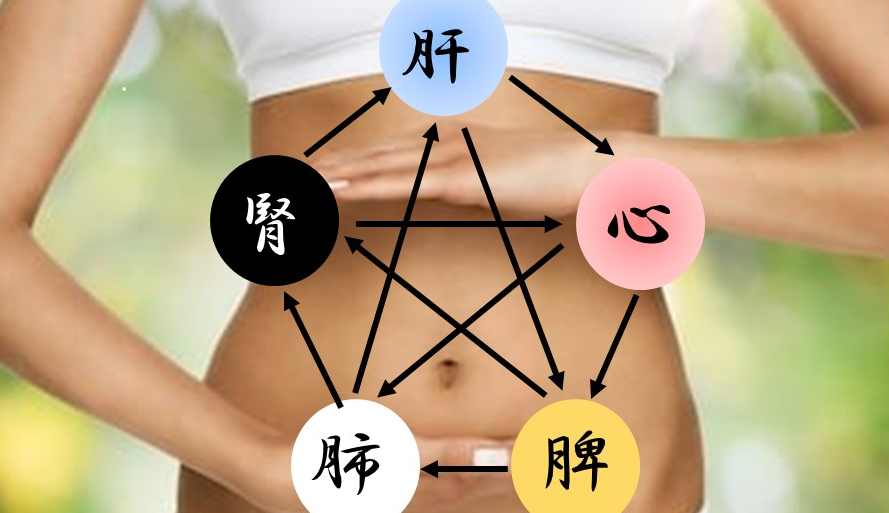 秋から冬への養生 ~陰陽五行思想が導く内臓へのアプローチ 肺・腎編~