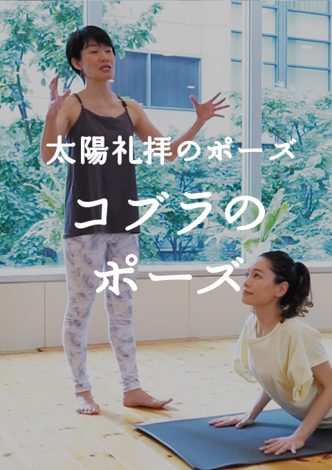 <太陽礼拝のポーズ>コブラのポーズ/ブジャンガ・アーサナ編