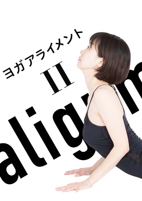 ヨガアライメント II