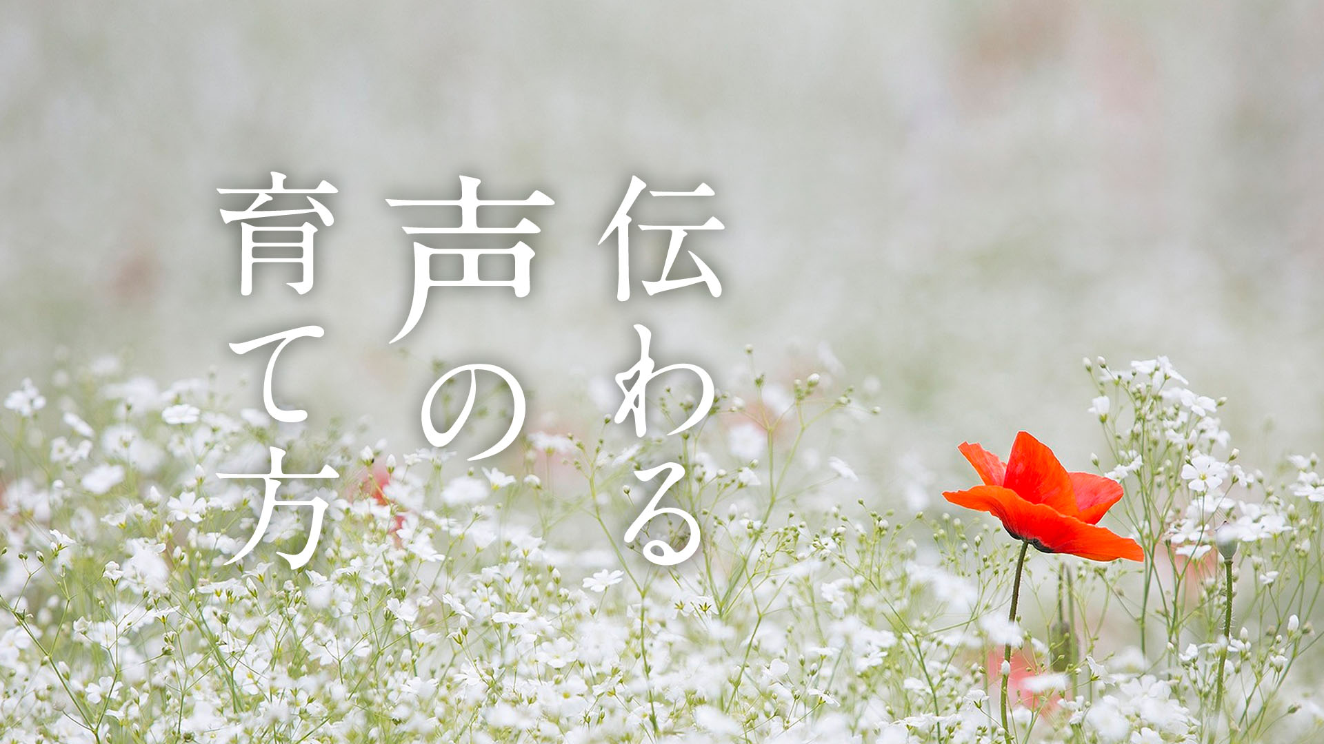 伝わる声の育て方