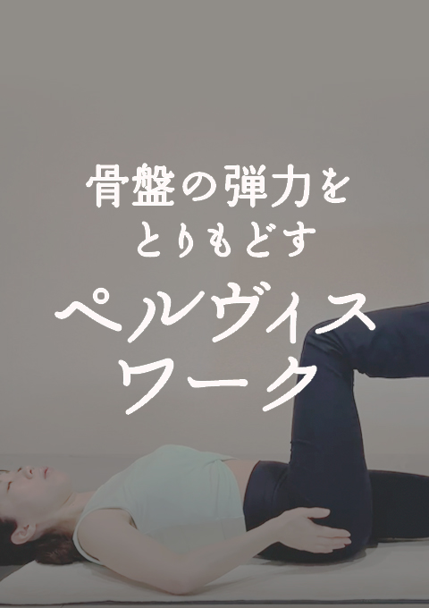 骨盤の弾力をとりもどすペルヴィスワーク