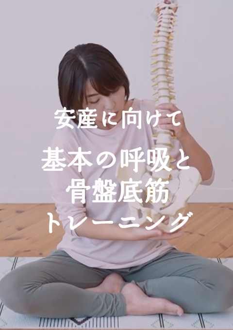 理学療法士が教える 基本の呼吸と骨盤底筋コントロール