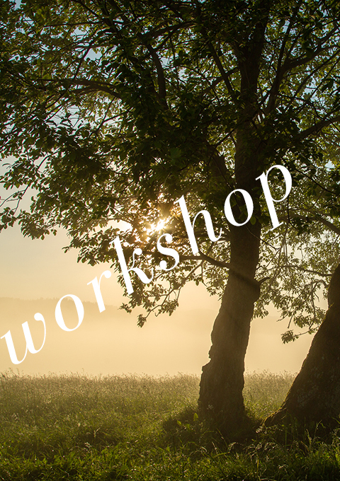 一歩先へつながる「体の準備と使い方」～ 捻じる・ひ…