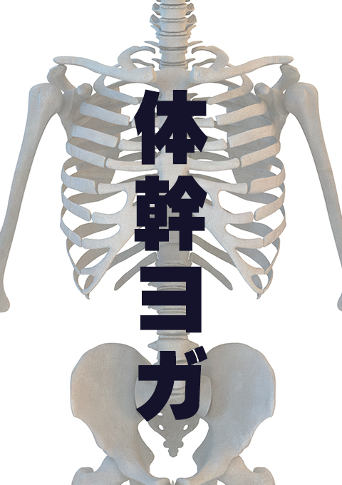 体幹ヨガ